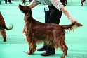 Crufts2011 055